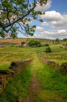 Old Bridleway, Oxenhope